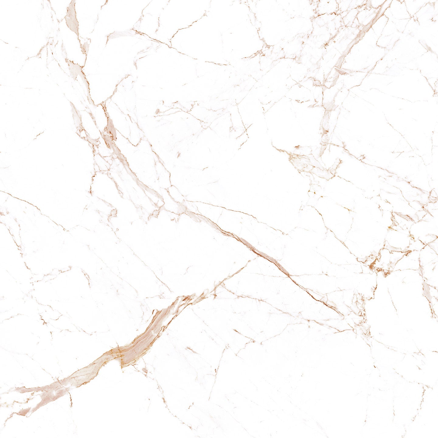 10103 Calacatta Claire view 2