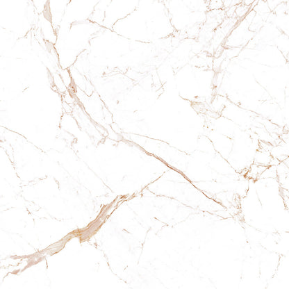 10103 Calacatta Claire view 2